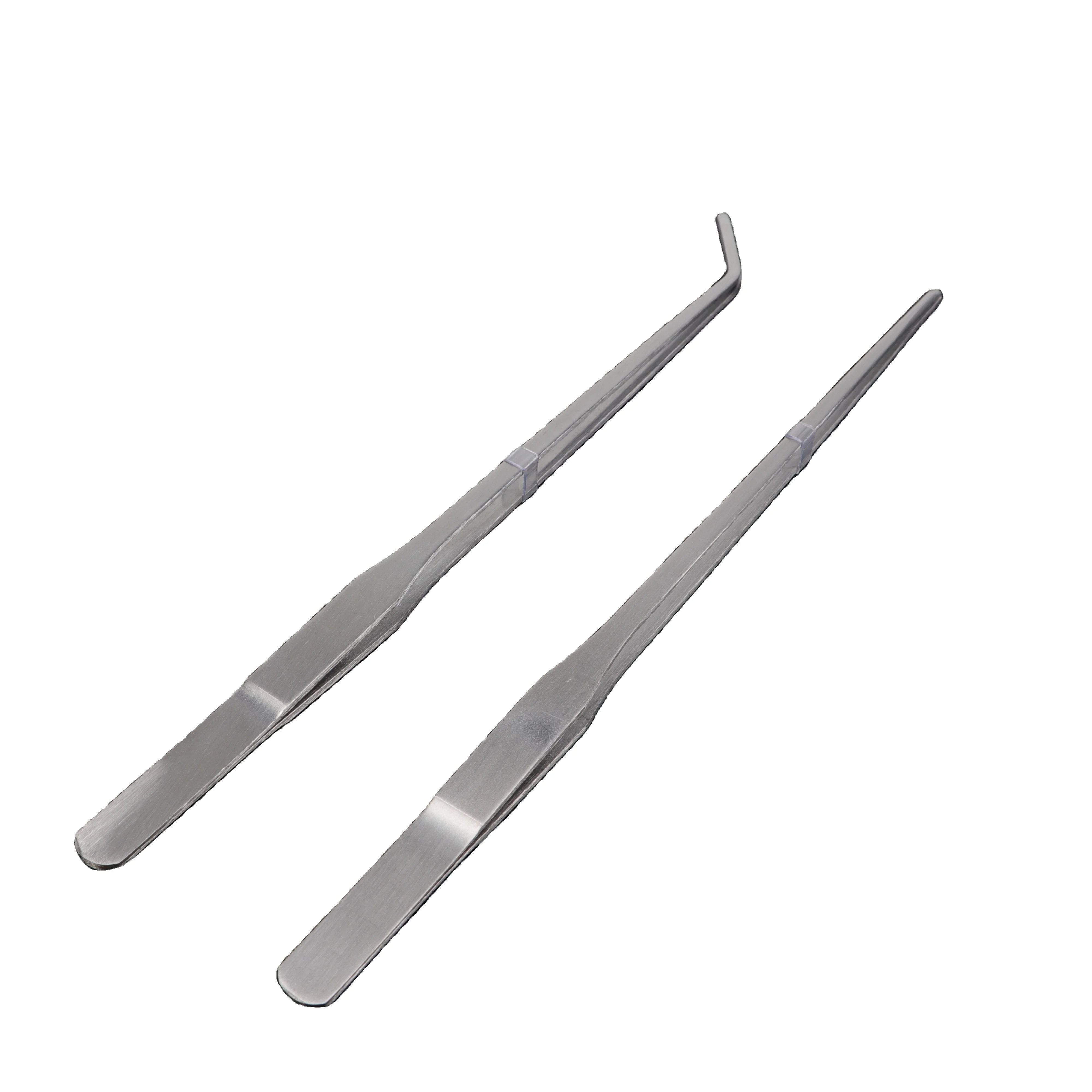 small basset hound puppies