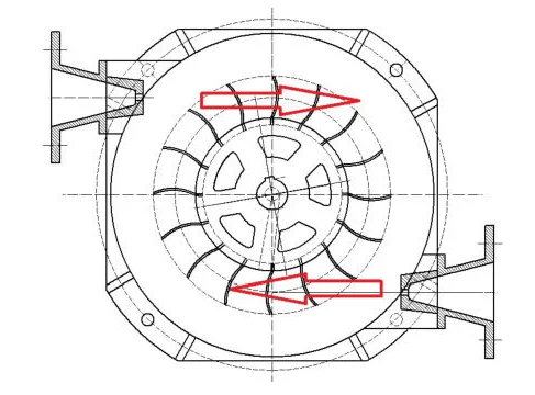 paste-pic-dp_uuid_g2egz