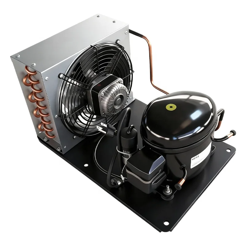 Condensing Unit, NT6220Z, 220V, R134A, 20-+5 - detail 10