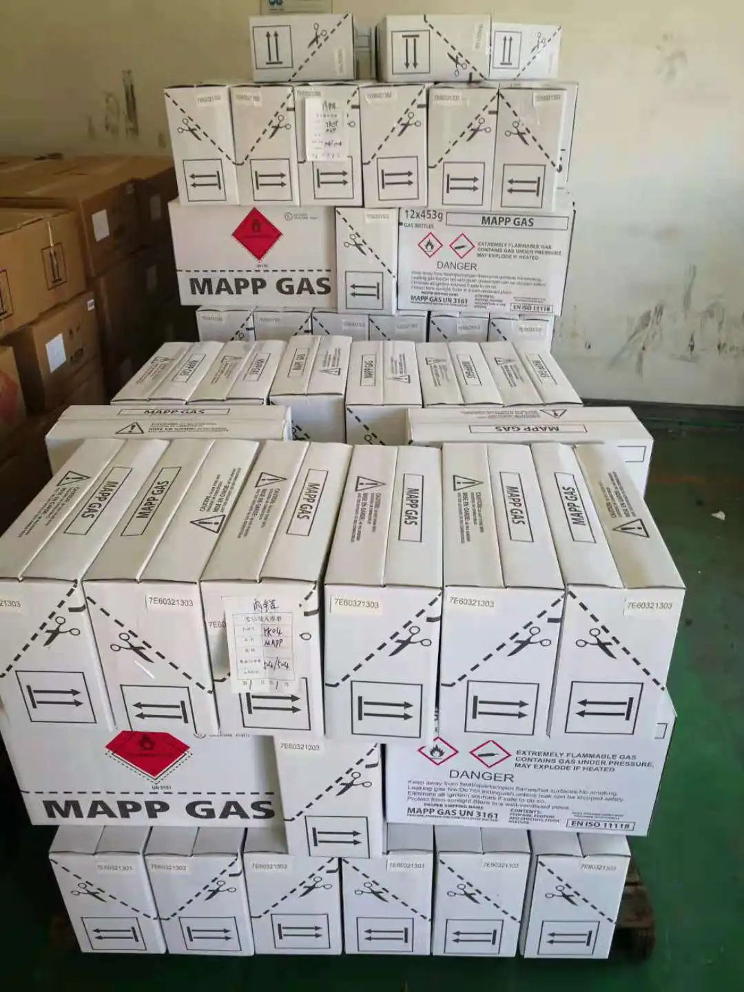 MAPP GAS1