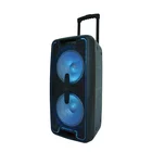 Eagleaudio Custom Logo LED Trolley Dual Stereo Wireless Speaker For Ktv Karaoke