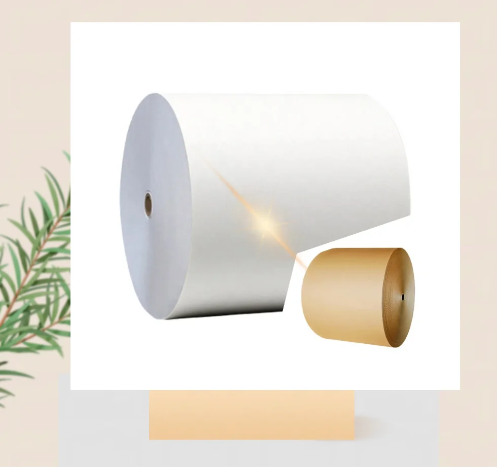 Single Or Double Pe Coated Cup Paper Raw Materials Roll Or Sheet