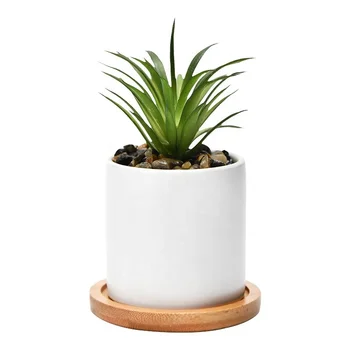 Ceramic Pots for Flowers and Indoor Plants - Wholesale Flower Pots and Planter Pots Specially Designed for Indoor Plants