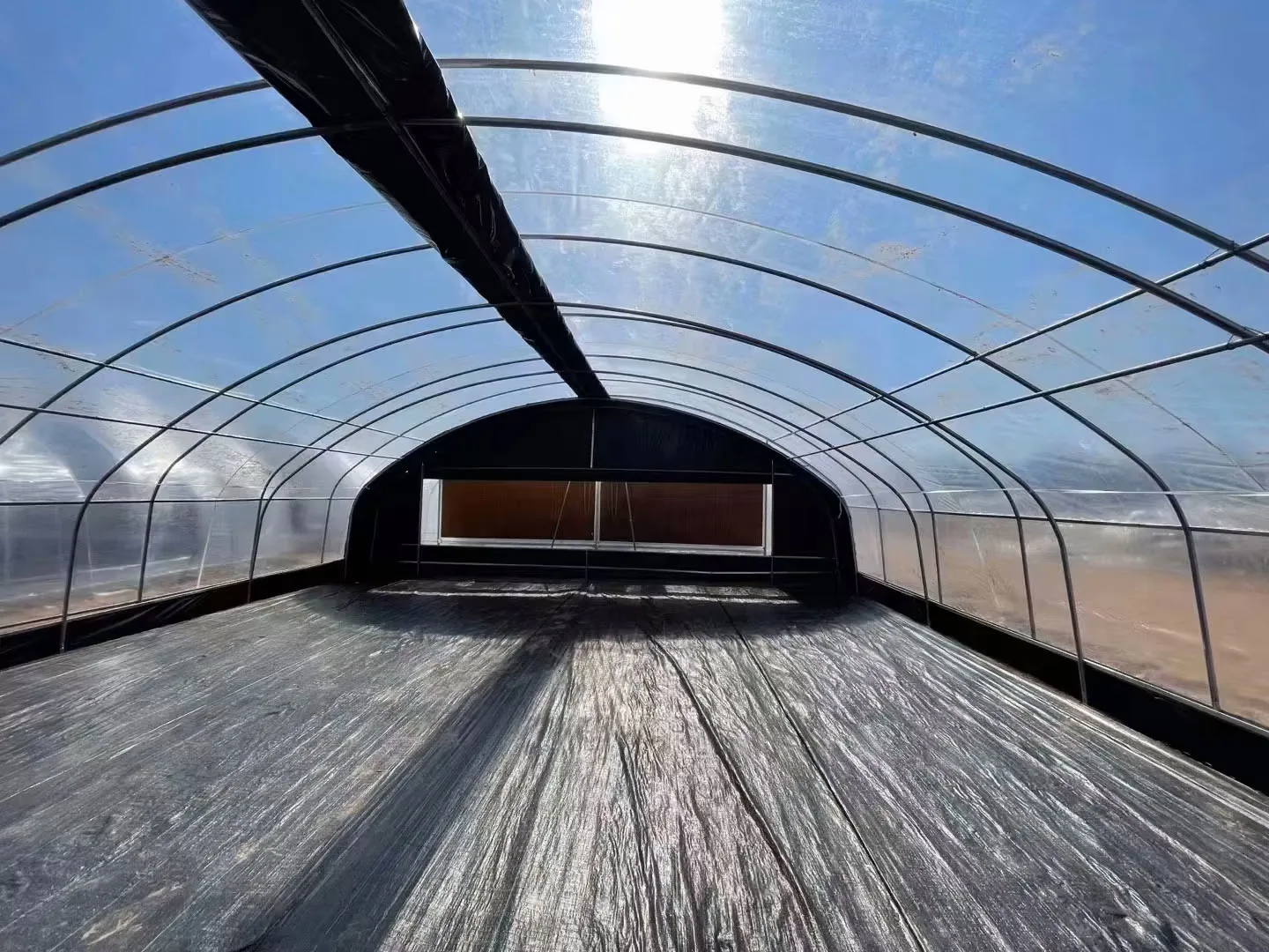 Eco-Friendly Single Layer Agricultural Plastic Film Greenhouse for Vegetable Tunnel China Product details