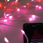 Holiday Smart Holiday Copper Wire Light Decoration Remote Controller Twinkly For Outdoor Use