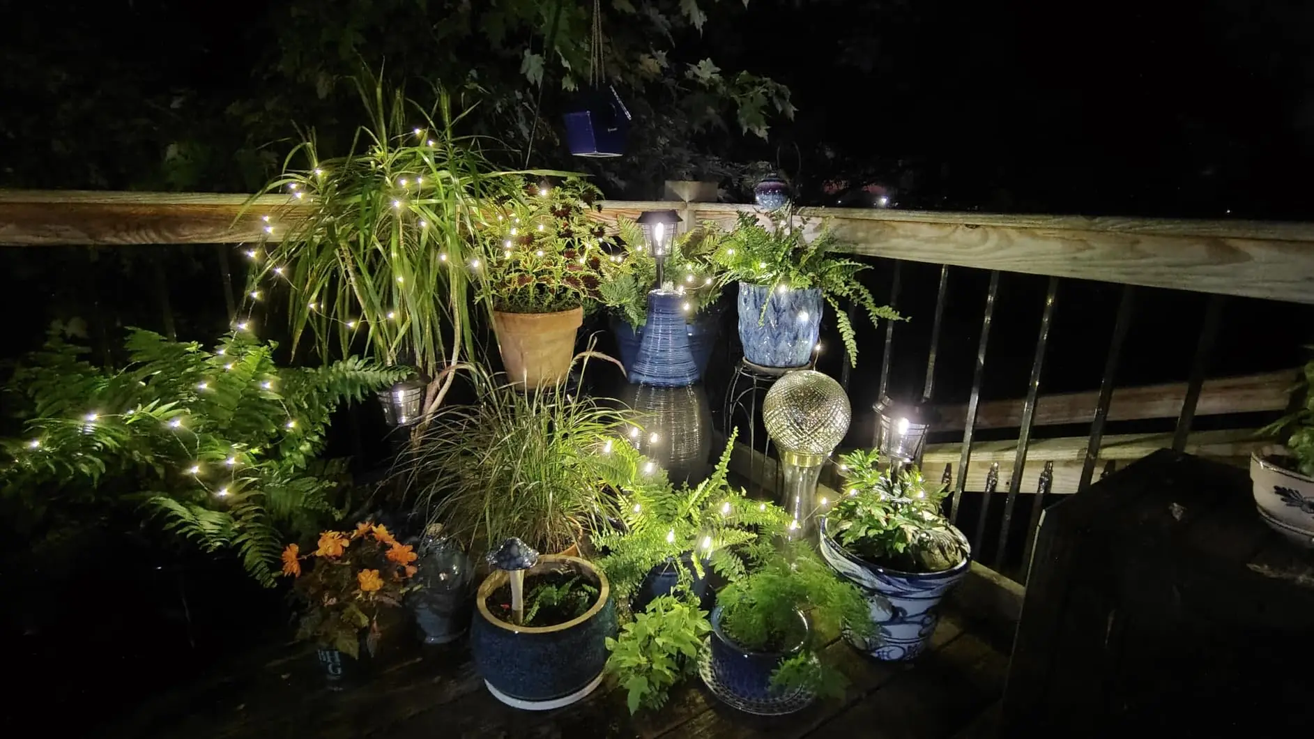 Fairy Lights Plug In, Starry String Lights for Wedding Indoor Outdoor Christmas Patio Garden Decoration, Warm White