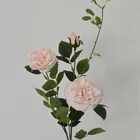 Rose Roses Cheap Personalized Competitive Price Artifical Rose Flower Garden Roses