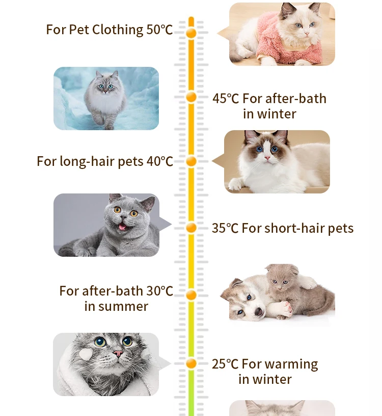 G5-S Hot Sale New Design Cat and Dog Hair Dryer Cabinet Small Pet Dryer Machine Pet Water Blower China Factory Direct Supplier