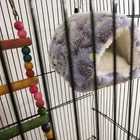 Pet Bed Cotton Fall Winter Warm And Soft Pet Hammock Nest For Hamster Guinea Pig Hedgehog Bed Accessories
