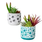 Wholesale Ceramic Flower Plant Planter Ceramic Succulent Pot Home Decor