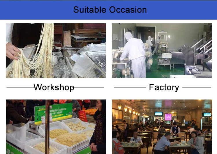 Hot Sale Industrial Electric Noodle Pasta Makers Small Cooking Noodles Pressing Making Machine Automatic Pasta Production Line factory