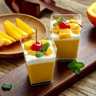 Tall Square Clear Plastic Dessert Tumbler Cups