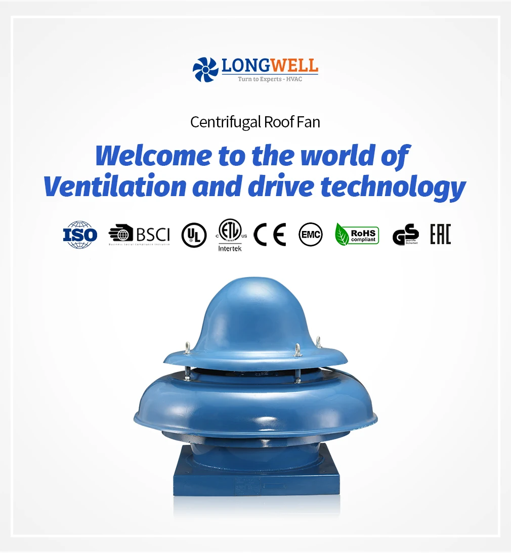 Industrial Roof Ventilation Fan, LONGWELL, Centrifugal, 1000 - detail 2