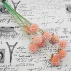 Plant Windmill Fruit Dry Bouquet Nordic Japanese Natural Real Flower Home Window Flower Arrangement Plant
