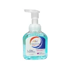 Liquid Hand Soap Liquid Liquid Hand Soap Liquid Hand Soap Customize Nice Scent 300ml Foam Handwash Liquid Soap