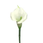 Lily Real Touch Cala Lily Decoration Calla