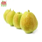 Pear Pear Fruit Yellow Fresh Pears/Big Size Golden Pears/Sweet Pear Fruit