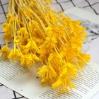 Flower Bridal Shenzhen Dried Flower Hair Accessories Dry Flower Bridal Bouquet