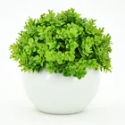 Plants Fast Delivery Artificial Succulent Plants Set With Paper Pots In Wooden Tray Succulents For Home Decor Bonsai