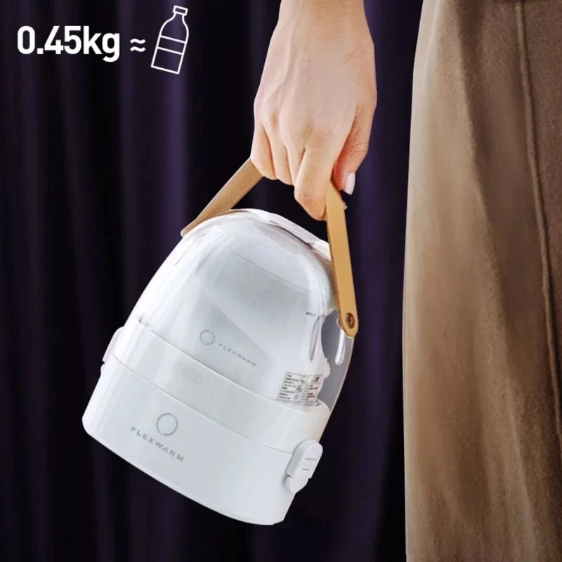 micro steam iron handheld