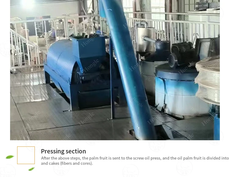 Hot Selling Red Palm Oil Production Pressing Machine 1530Tph Palm Fresh Fruit Bunch Press Project Equipment Oil Storage Tank details