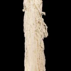 Wedding Factory Supply Wholesale Bleached And Preserved Amaranthus For Wedding Decoration