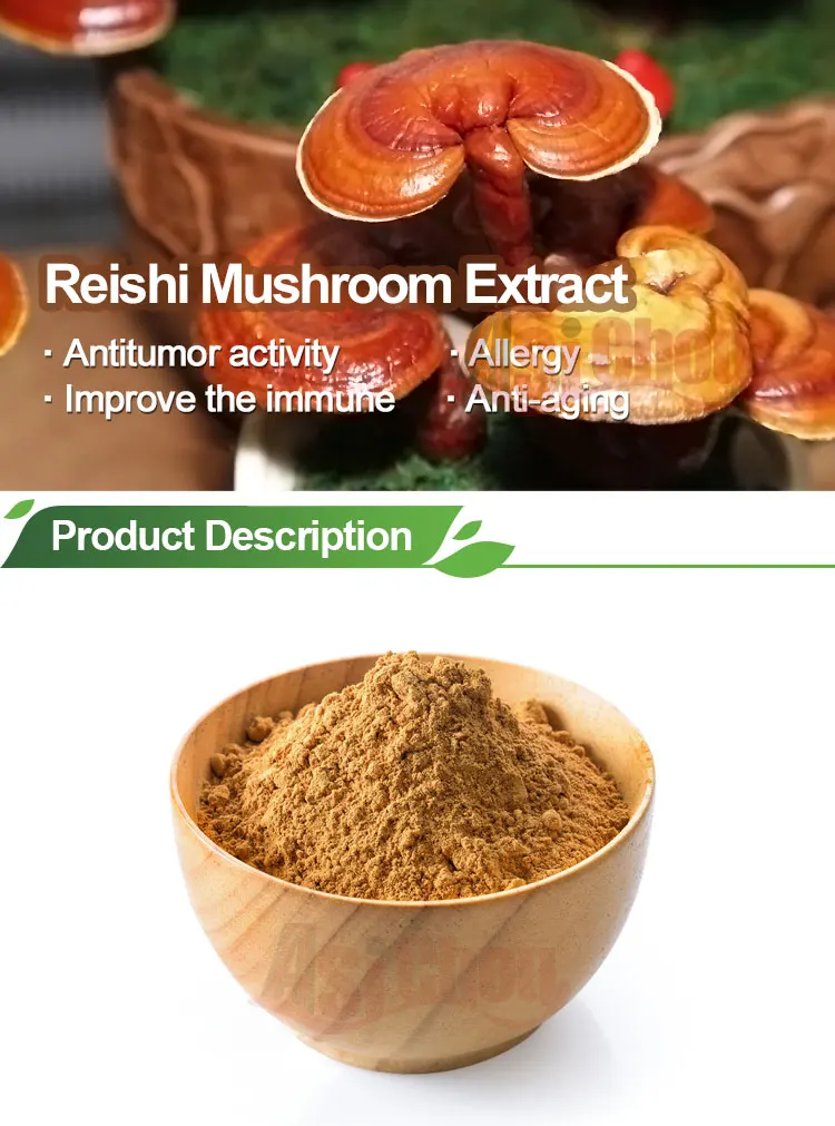 100% natural eu organic food grade reishi mushroom extract