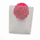 Titanium Platinum Titanium Electrode Titanium Wire Mesh Gr1 Gr2 Titanium Mesh Electrode