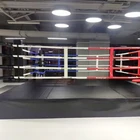 Ring Wrestling International Professional Foldable Mini Small Boxing Ring For Wrestling Martial Art Sanda