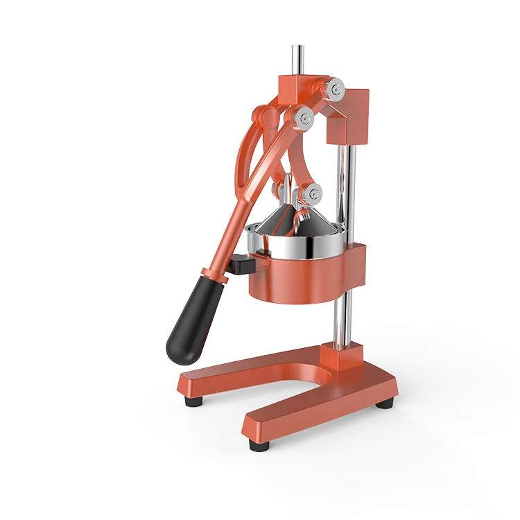 iron juicer
