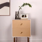 Rattan Home Decor Simple Modern Wood Storage Cabinet 2 Doors Living Room Rattan Metal Cabinets