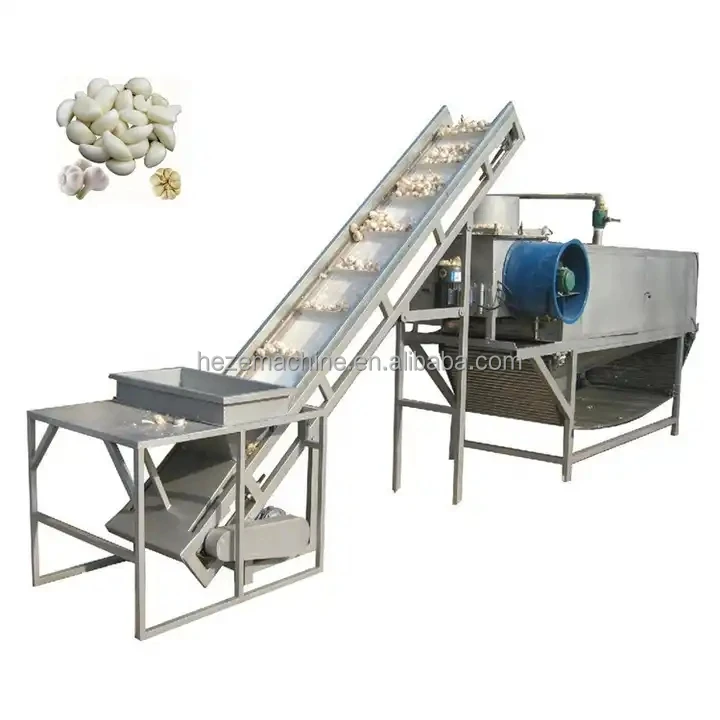 Garlic Processing Machine.jpg