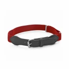 Elastic Belt New Fashion Designer Custom Elastic Colorful Slim Child Belt For Kids And Child And Boy