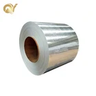 Steel ASTM Galvanized Steel Plate Coil DX54D SGC340 SGC440 With Ordinary Surface