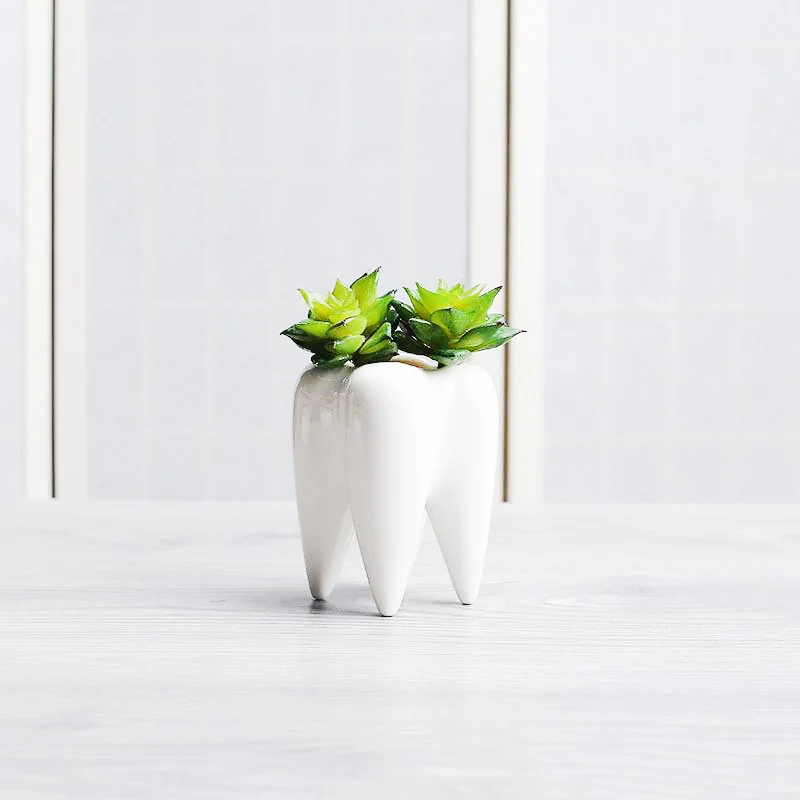 P355  indoor small ceramic flower pot succulent planter cute unusual shape glazed white mini bonsai decoration planter