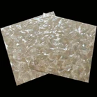 Mother Of Pearl White Mother Of Pearl Shell Sheet Shell Paper For Guita