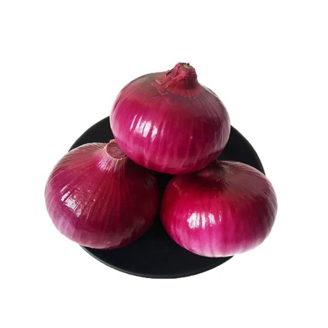 Fresh Yellow / Red Onion with cheap price per ton factory price onion for wholesale Chinese onion supplier
