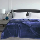 Coral Supplier Custom Single Layer Solid Color Microfiber Coral Flannel Fleece Throw Blankets Supplier