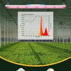2021BAVAGREEN 660nm Red 730nm Far Red Bar Emerson Effect Ir Bloom Booster Grow Light