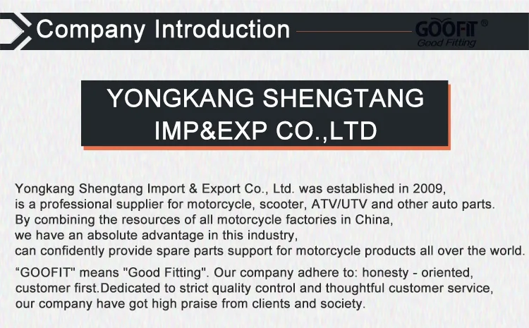 Motorcycle Engine Parts Generator, GOOFIT, 800, ATV - detail 18