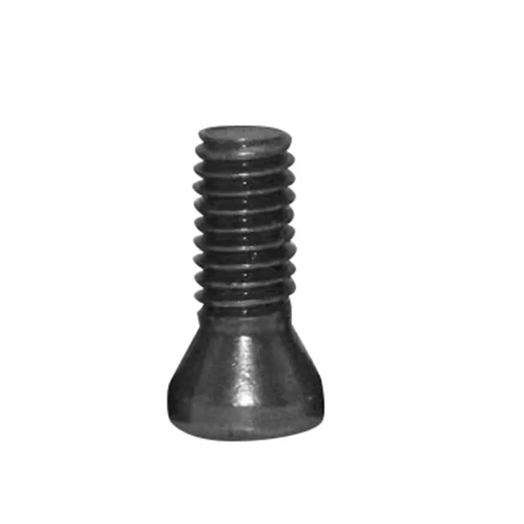 torx screw (4).jpg