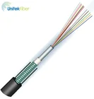 Sheath Armored Cable Manufacturer PE Sheath Double Armored Jacket 6 Core G652D Anti-UV Outdoor GYXTW Fiber Optic Cable