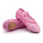 Ballet Leather Wholesale OEM Coloured Ballet Shoes Women Cheap Leather Ballet Shoes Women Customized