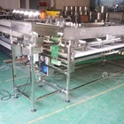 Onion OG-303 Fruit And Vegetable Onion Potato Grading Dates Sorting Machine Broccoli Classifier Machine