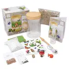 DIY Children Customized Toys Mini Garden Plant Grow Terrarium Kit For Kids