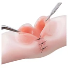 Bandaging debridement training medical anatomical model for suturing