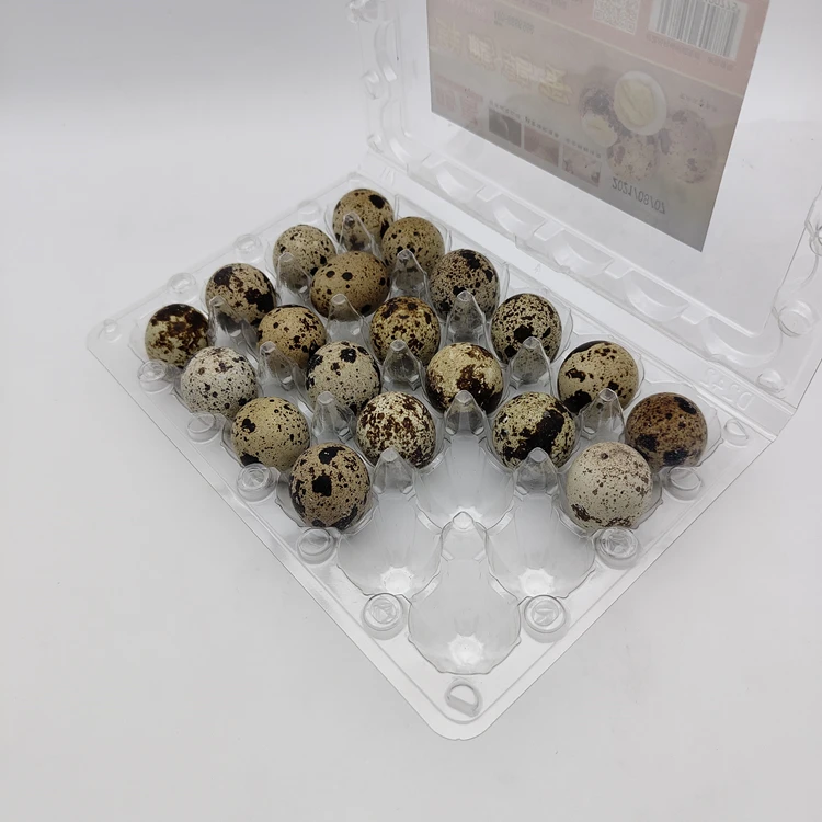 reusable quail egg cartons