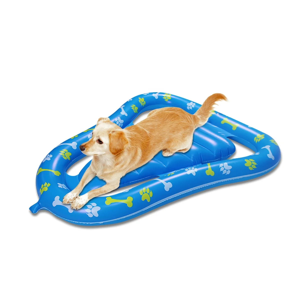 dog pool toys