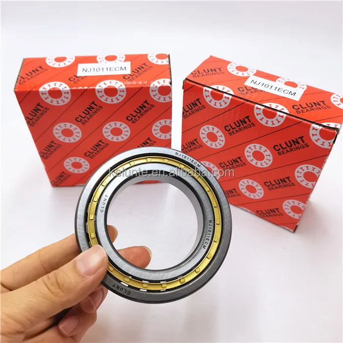 NJ1011ECM BEARING (1)