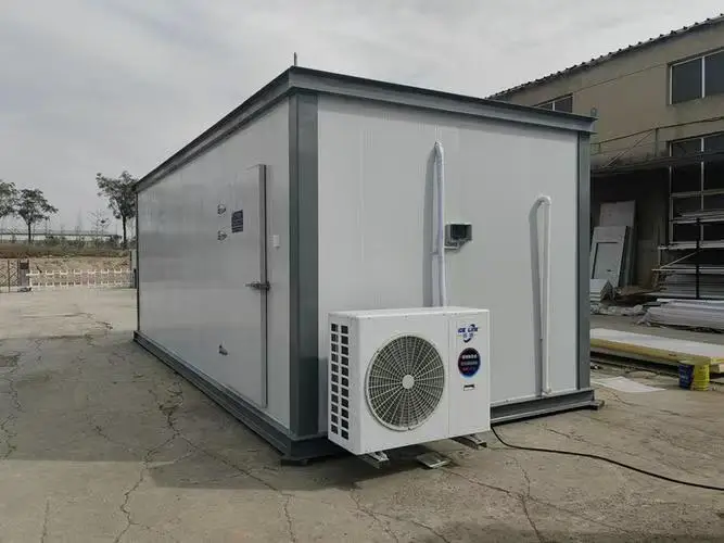 Sell Well Walk-in Freezer, Aluminum Alloy, Cold Storage Door - detail 6